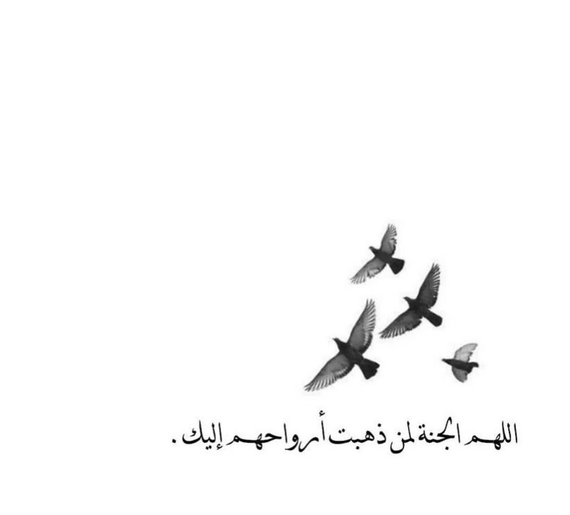 umNasser100's tweet photo. https://t.co/yVlY3DmHUW