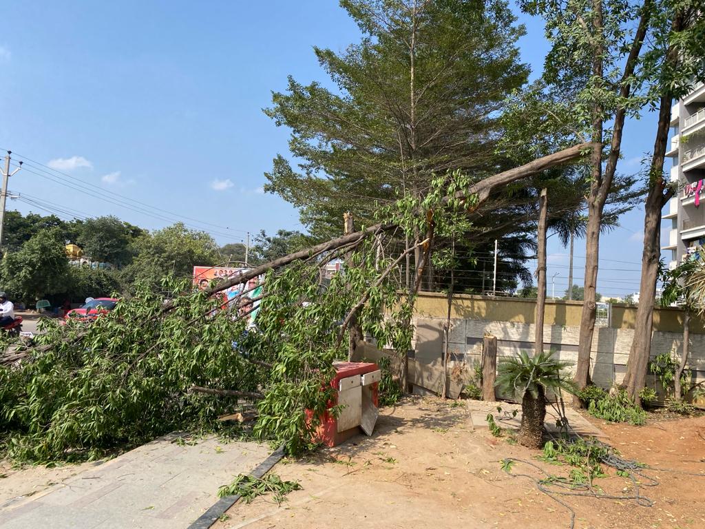 Road side (outside community wall) 4 trees are cut.Does GHMC provided the permission to cut the trees? Can you plz look into this issue. This is on main Rd bfr Bhavyas Tulasivanam Apts. @zckukatpally <a href="/DC_Kukatpally/">Dy. Commissioner Kukatpally</a> <a href="/GandhiArekapudi/">Gandhi Arekapudi</a> @Director_EVDM <a href="/CommissionrGHMC/">Commissioner GHMC</a> <a href="/HarithaHaram/">Telangana Forest Dept.</a>