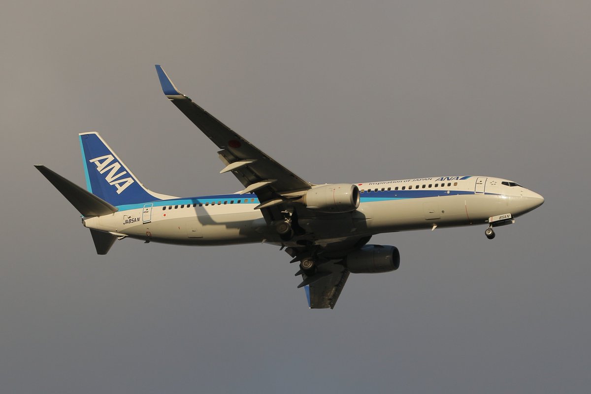 princessarete's tweet photo. #ANA
#NH722
ONJ-HND
#JA85AN
#Boeing737-881 https://t.co/AXOV4XuEJO