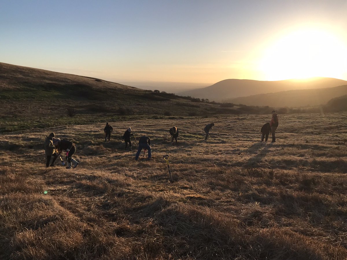 Adam Cormack tweet media