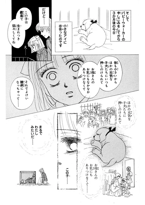 (3/6) 
