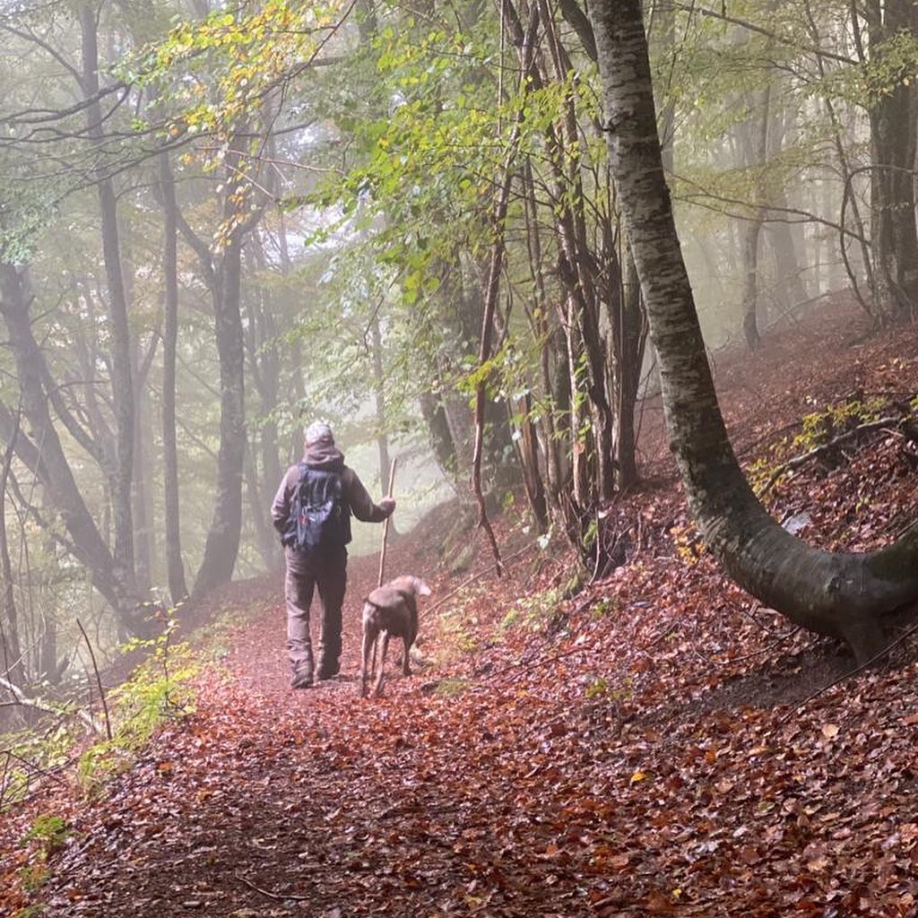 VIDA Verneda tweet media