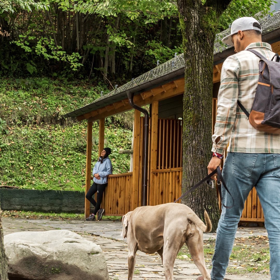 VIDA Verneda tweet media