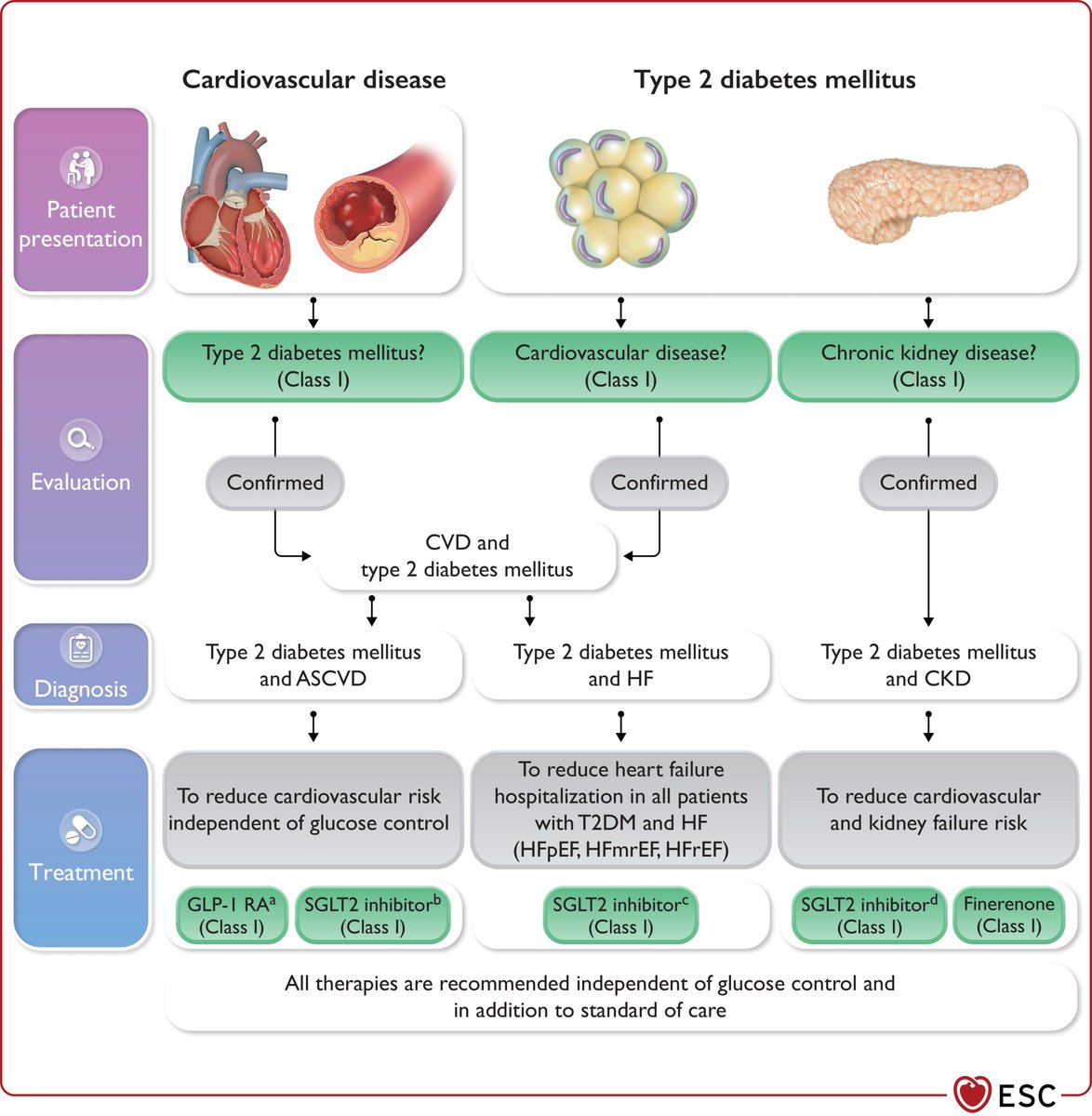 escardio's tweet photo. All you need to know about #CVD and #diabetes👇

This month’s Focus has a special emphasis on the new #ESCGuidelines and how to overcome challenges in their implementation. These include #ESCCongresspresentations, webinars, journal articles, a textbook chapter and an ESC eLearning course.

Explore Focus of the Month https://t.co/VOHoOSF4Nw