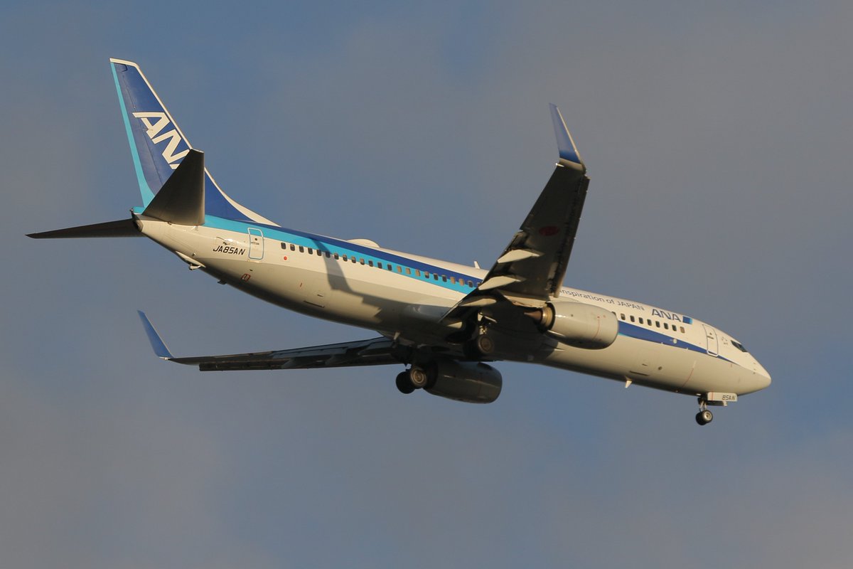 princessarete's tweet photo. #ANA
#NH722
ONJ-HND
#JA85AN
#Boeing737-881 https://t.co/AXOV4XuEJO