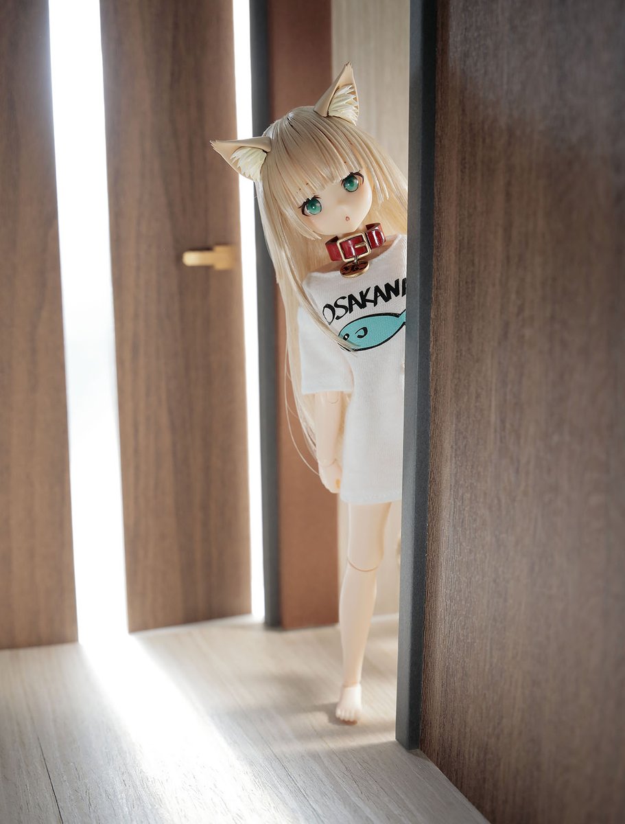 うちのねこが女の子でかわいい』より「きなこ」が1/6サイズのドールに