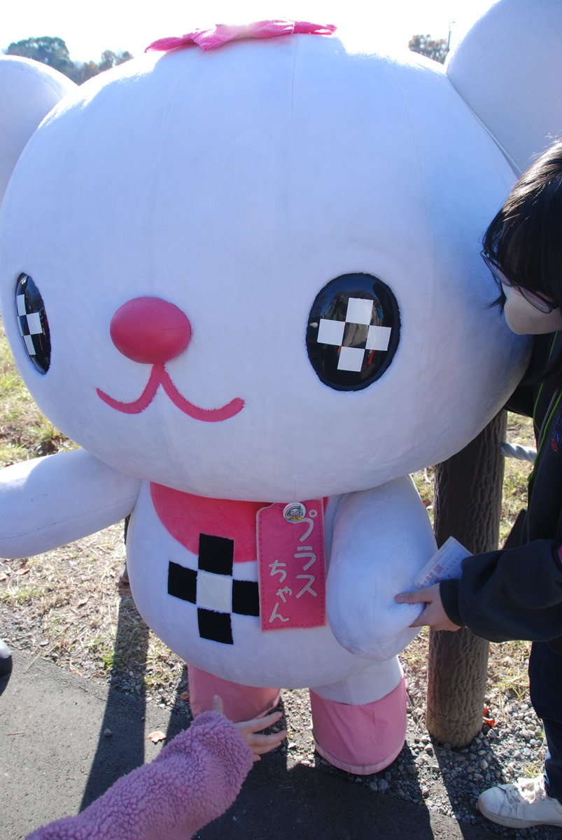 Hiro_kun1967's tweet photo. 志木市民まつり2023へ参加したキャラクターさん達

#ご当地キャラクター #志木市民まつり2023 #ムジナもん #ゆるナキン #プラスちゃん #ジャー坊 https://t.co/g0DixNfmYY