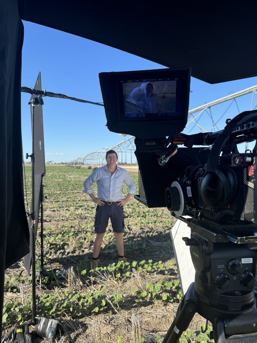 cussonsmedia's tweet photo. This week's shoot took us to a beautiful cotton property in Moree, North Western NSW to film a piece on Volunteer Cotton,  the final part of a Cotton Stewardship series.  
#Agriculture #AustralianAgriculture #FilmCrew #Cinematography #Cotton #moreeqld #queensland @Bayer https://t.co/fOFIzcK0Ab