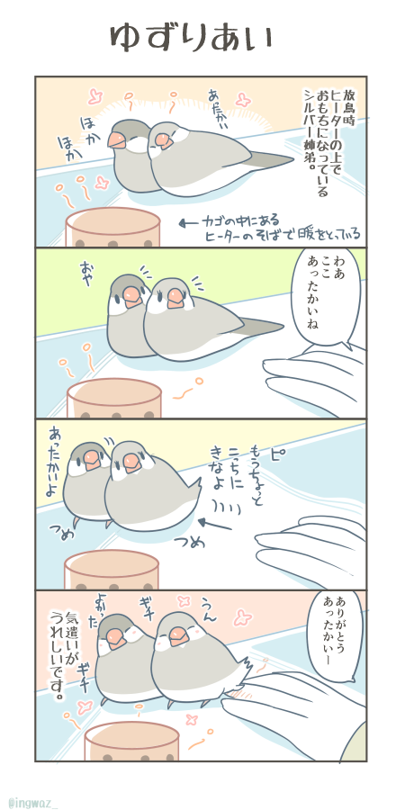 ゆずりあい。  #漫画が読めるハッシュタグ #Buncho #文鳥