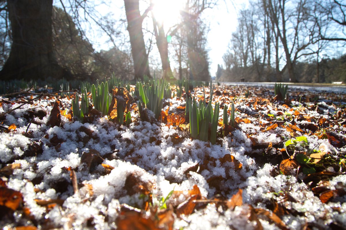 Is a winter walk on the cards for you this weekend? 🚶❄️ #BuryStEdmundsAndBeyond #WinterWalks