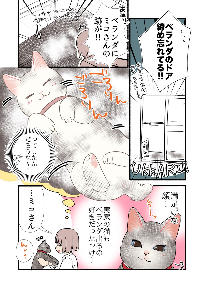 朝起きたら白猫が黒猫になってた話(2/2) #漫画が読めるハッシュタグ #愛されたがりの白猫ミコさん