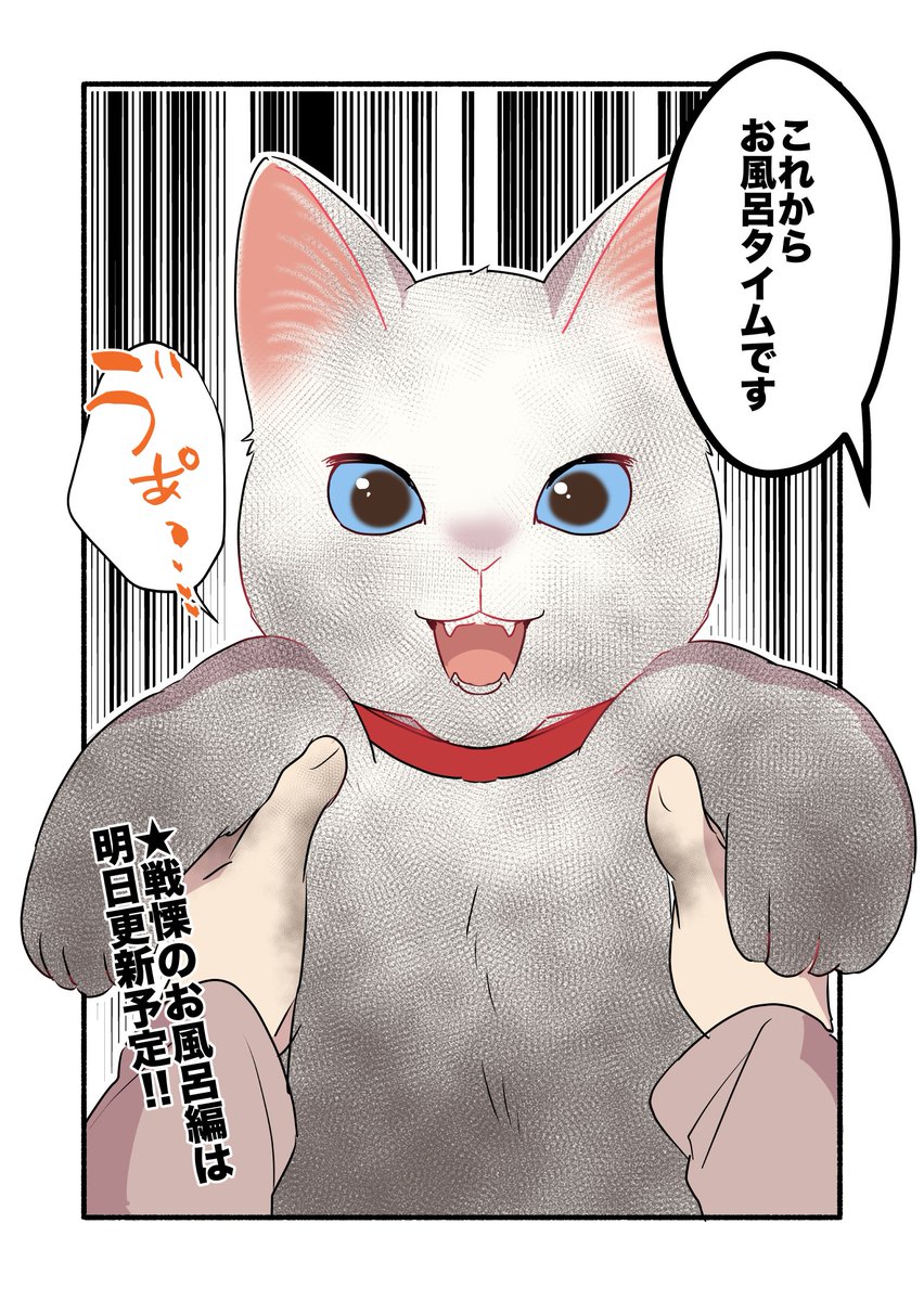 朝起きたら白猫が黒猫になってた話(2/2) #漫画が読めるハッシュタグ #愛されたがりの白猫ミコさん