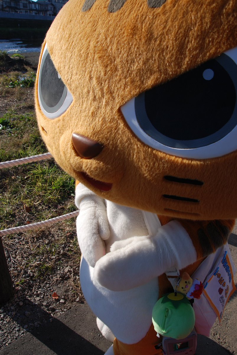 Hiro_kun1967's tweet photo. 志木市民まつり2023へ参加したキャラクターさん達

#ご当地キャラクター #志木市民まつり2023 #うなりくん #ホヌッピー #しんじょう君 #ふぅにゃむむにゃ https://t.co/OTw2Rdz3RS