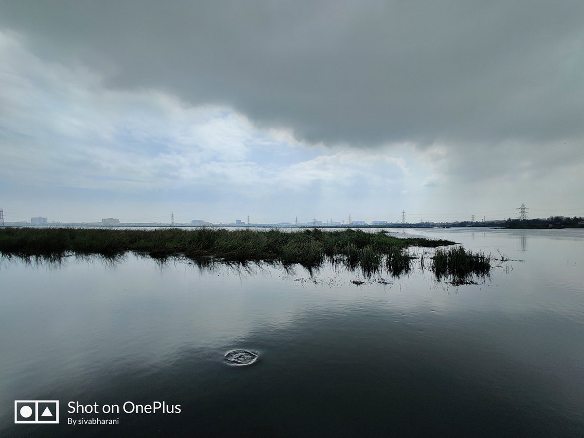Siva_Bharani's tweet photo. Shot on #OnePlus7Pro 
#OnePlus https://t.co/31XbEOfN1Z