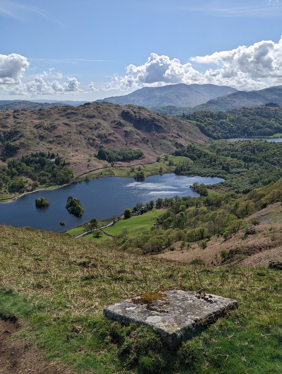 Willis Research Group tweet media