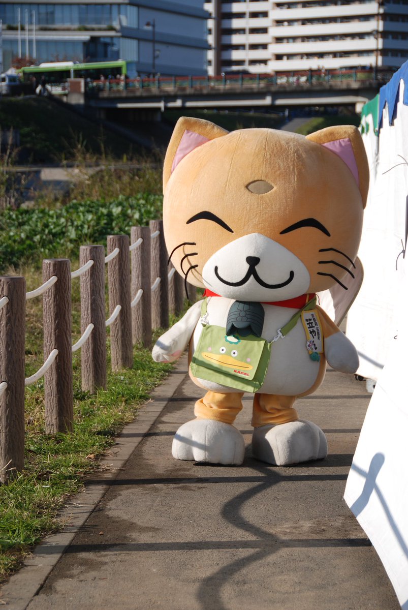 Hiro_kun1967's tweet photo. 志木市民まつり2023へ参加したキャラクターさん達

#ご当地キャラクター #志木市民まつり2023 #笹やん #やぶきじくん https://t.co/eshtw5XRmD