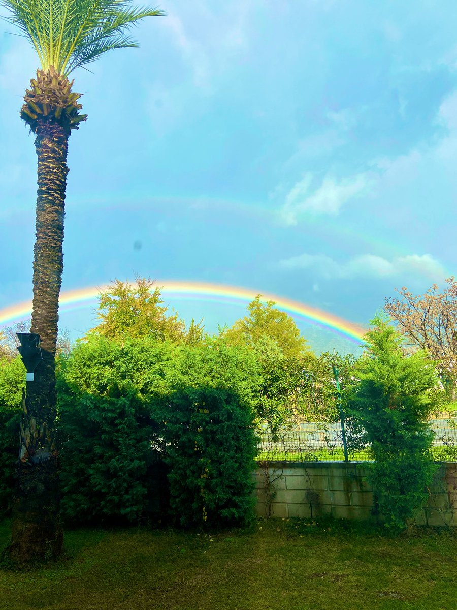Güneşli günler göreceğiz çiçekli bahçelerde.. 🫠
