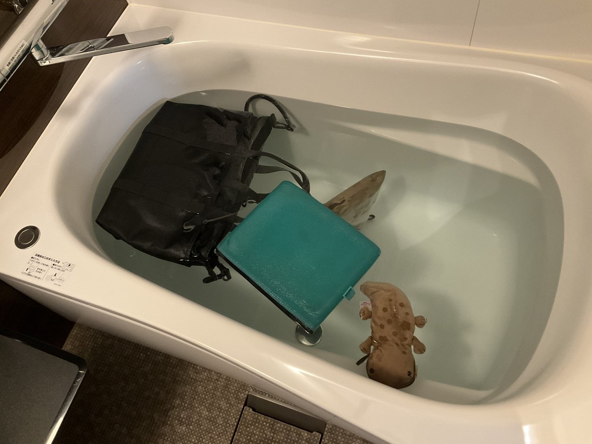 shichiridle's tweet photo. 年末年始の遠征民に見てもらいたい。
安宿には泊まるな。実は今日寝ていない。
#南京虫　#トコジラミ https://t.co/Nk6aqfo2Yo