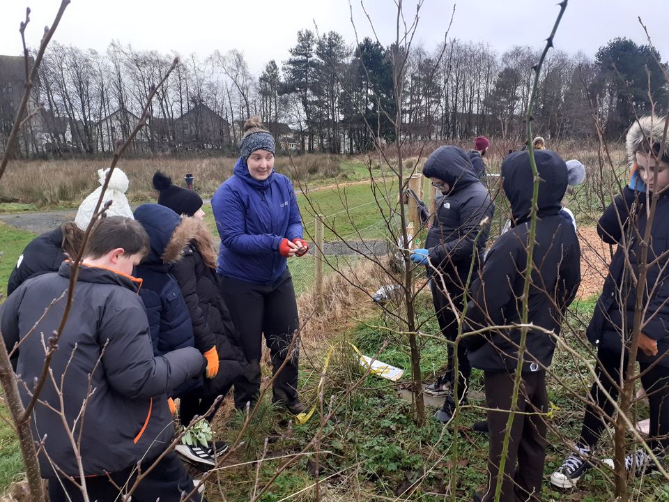 greenspacetrust's tweet photo. Primary 6 class from St Josephs Primary joined us to do some maintenance in their local Wee Forest plus carbon storage and thermal control surveys. Whitburn Wee Forest looks great, well done to all! @NatureScot @Earthwatch_Eur @LoveWestLothian #weeforest https://t.co/ge0EsxIRC3