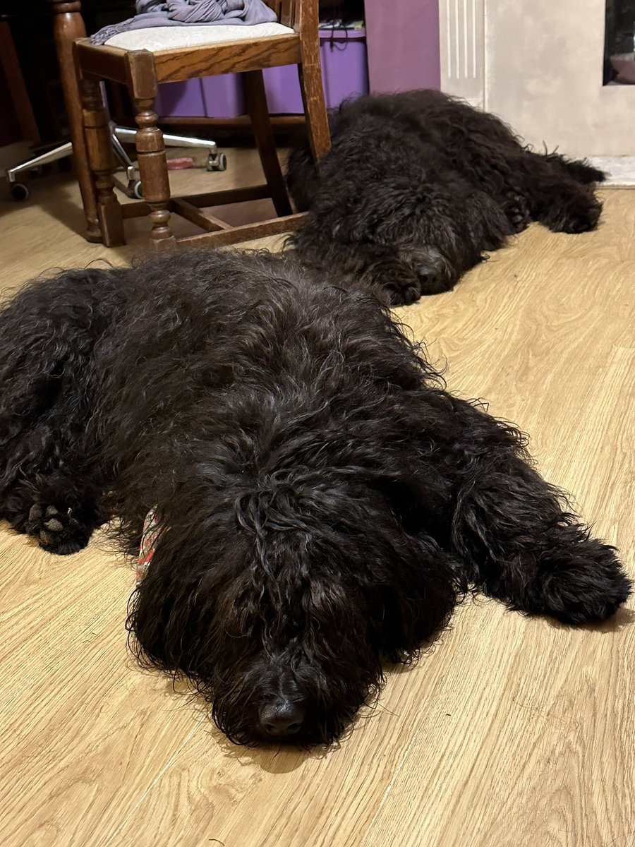 Joanna March tweet media