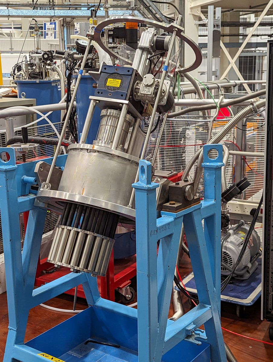 Elizabeth Shotton tweet media