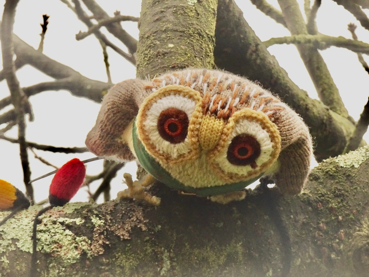 🦉 Good Morning from the Moat Garden <a href="/Hertfordcastle/">Hertford Castle</a> we have a stall today from 11am - 3.30pm selling handcrafted items and taking donations for <a href="/ehaat_/">ehaat_</a>
#yarnbomb #preparingforchristmas #bringingjoy
