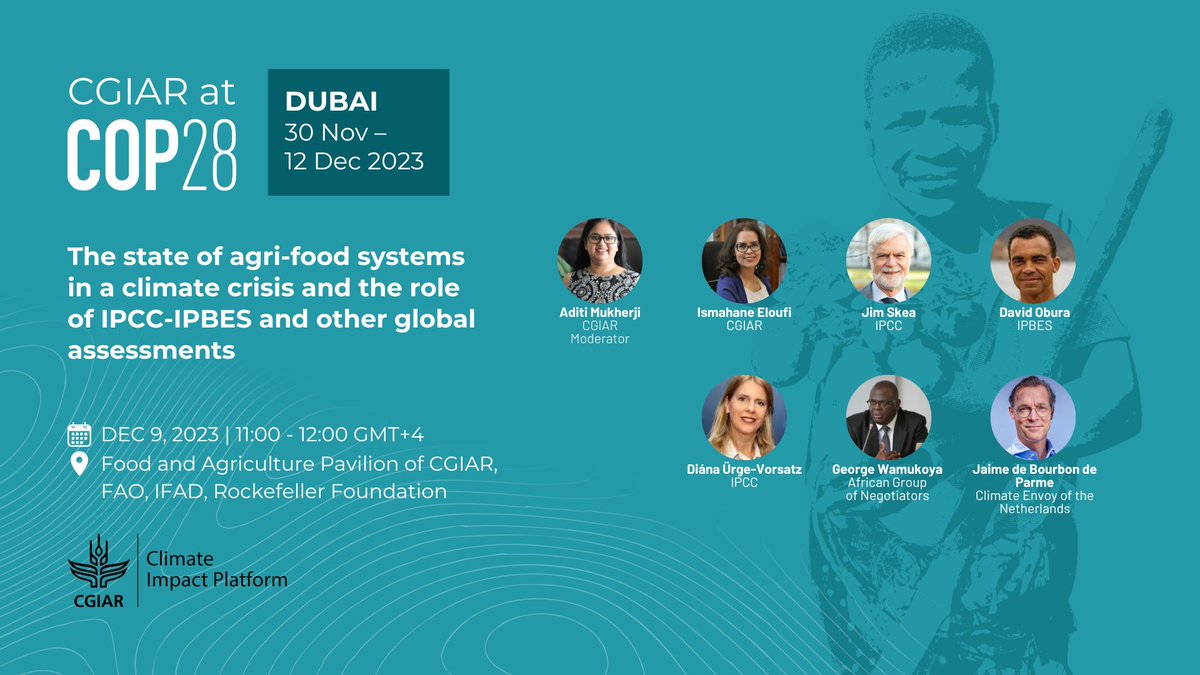 CGIARclimate's tweet photo. 🌍 Follow the conversations with CGIAR Climate Impact Platform at #COP28 on Dec 9! As leaders from IPCC, IPBES, CGIAR, and global reps have a vital discussion on equitable transitions in agri-food systems.https://t.co/UUuBW3ifMU
OneCGIAR #FoodandClimate #FoodAgPavilion https://t.co/KVYmniIarK