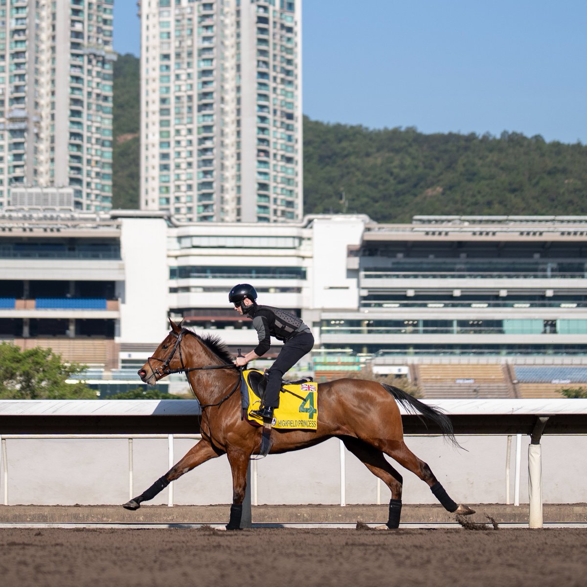 Highfield Princess is preparing for Sunday's Hong Kong Sprint 🇭🇰