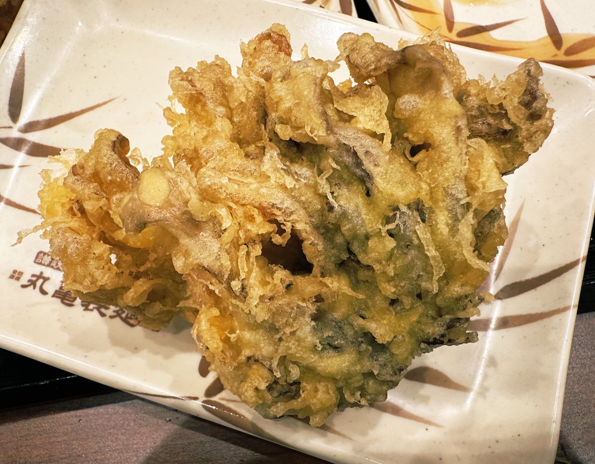 浅草不知秋～姚远 tweet media
