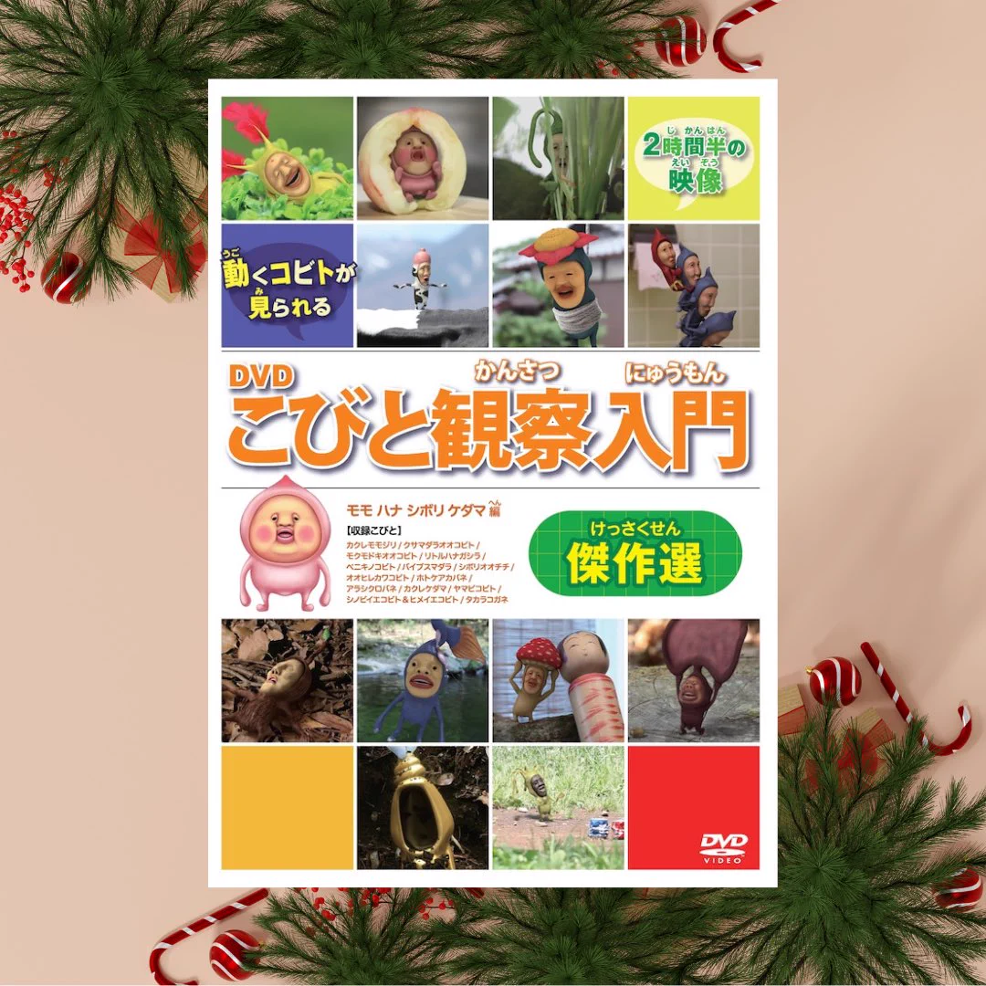 こびとづかん公式📚🌿 on X: 