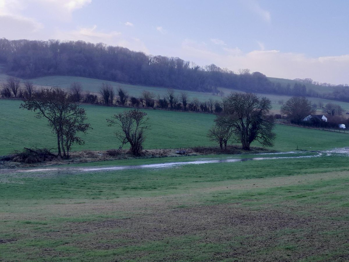 Our Finest Dour tweet media