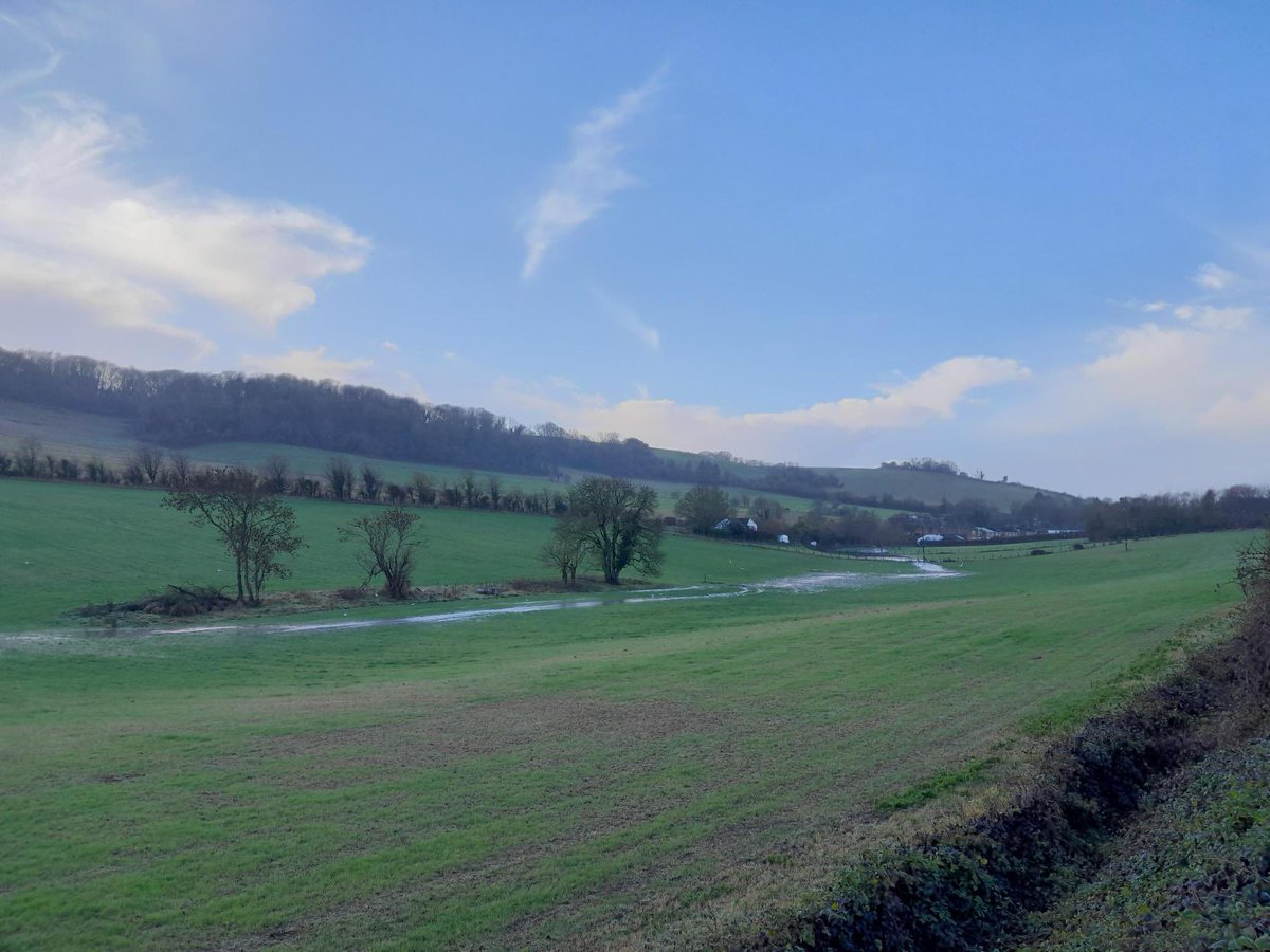 Our Finest Dour tweet media