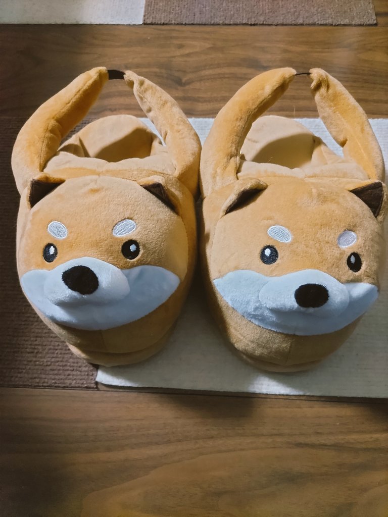 hitomi_hs2's tweet photo. ニュースリッパ❤
ルームシューズのが正しいのかな
柴犬可愛い https://t.co/zg4mfMGKEJ