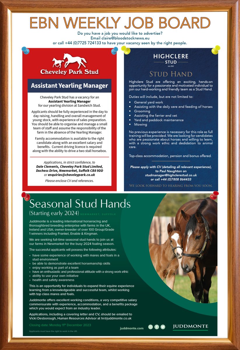 ❓Are you looking to further your career or a new challenge❓ ✅ Check out this week's JOB BOARD in EBN: Assistant Yearling Manager - @CPStudOfficial Stud Hand - @JakeJWarren Seasonal Stud Hands – @JuddmonteFarms For full job descriptions & application details see below ⬇️⬇️