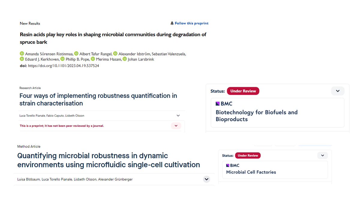 Three manuscripts from our PhD students Luca, Fabio, and @Ristinmaa (alum) that combines biochemistry, microbiology, and computational biology are now available on BiorXiv. Have a look at them. 1. researchsquare.com/article/rs-364… 2. researchsquare.com/article/rs-341… 3.biorxiv.org/content/10.110…