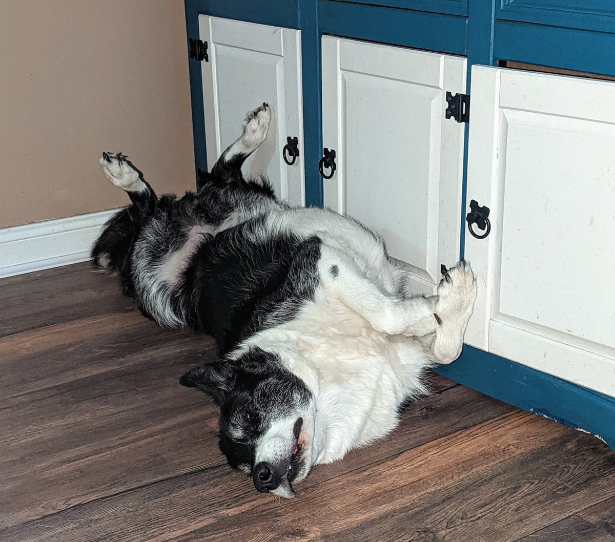 Brian Webster Cert HSC, BSc, PG Cert, RN, tDN tweet media