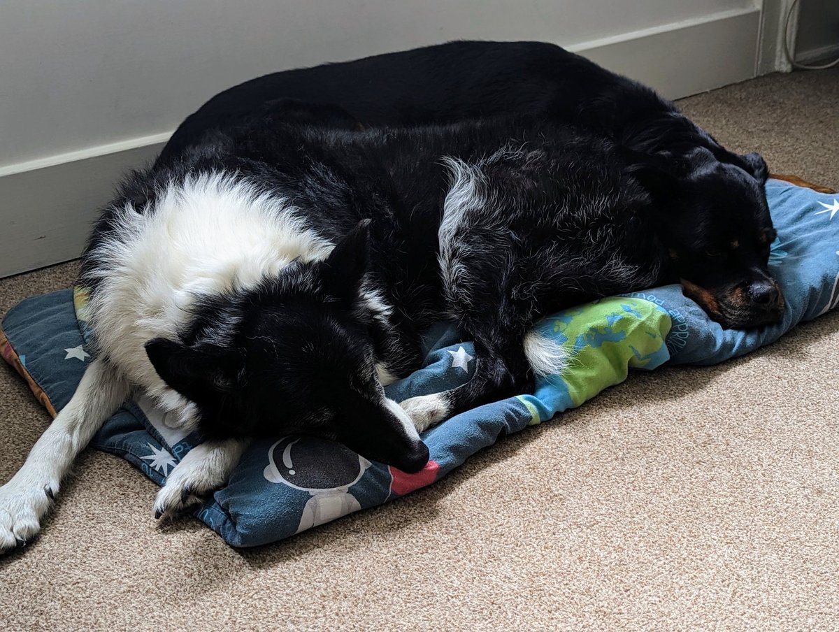 Brian Webster Cert HSC, BSc, PG Cert, RN, tDN tweet media