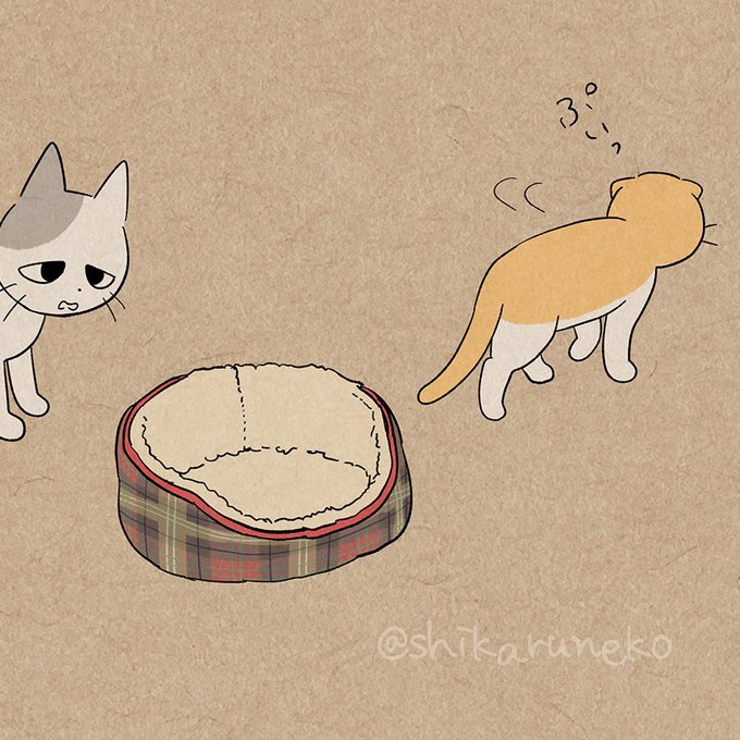「しかるねこ@shikaruneko」 illustration images(Latest)
