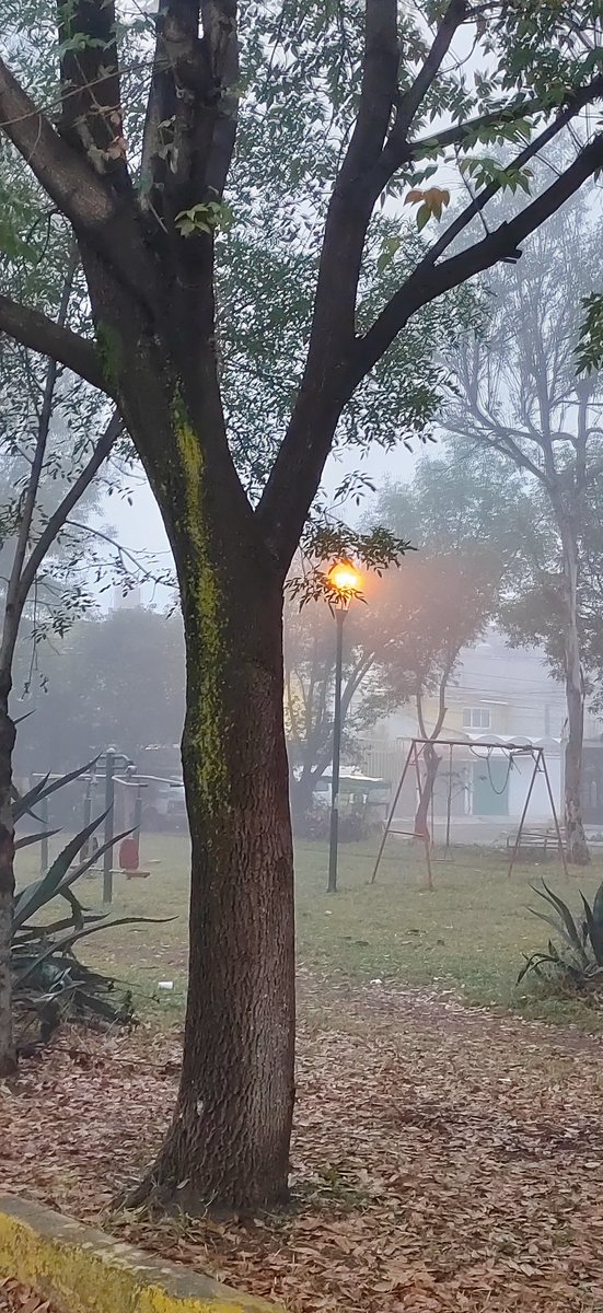 axoxocotzi's tweet photo. #estavivo o mejor la de #tearsdontfall de @bulletformyvalentine @luisalaouija pa'correr machín!! Ya si me sale una enfermera del videojuego #silenthill pues ahí me quedo! 😋😂🤣 https://t.co/53ul7nMIRV