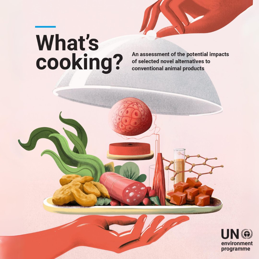 There is a need to change how food is produced & consumed due to its growing impact on the climate crisis. UNEP's new report 'What's cooking?' finds that novel meat & dairy alternatives could help reduce the environmental footprint. Here’s how: unep.org/resources/what… #COP28