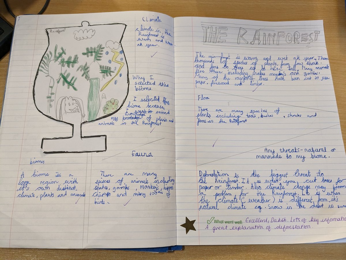 The Junior School | St John's College, Cardiff tweet media