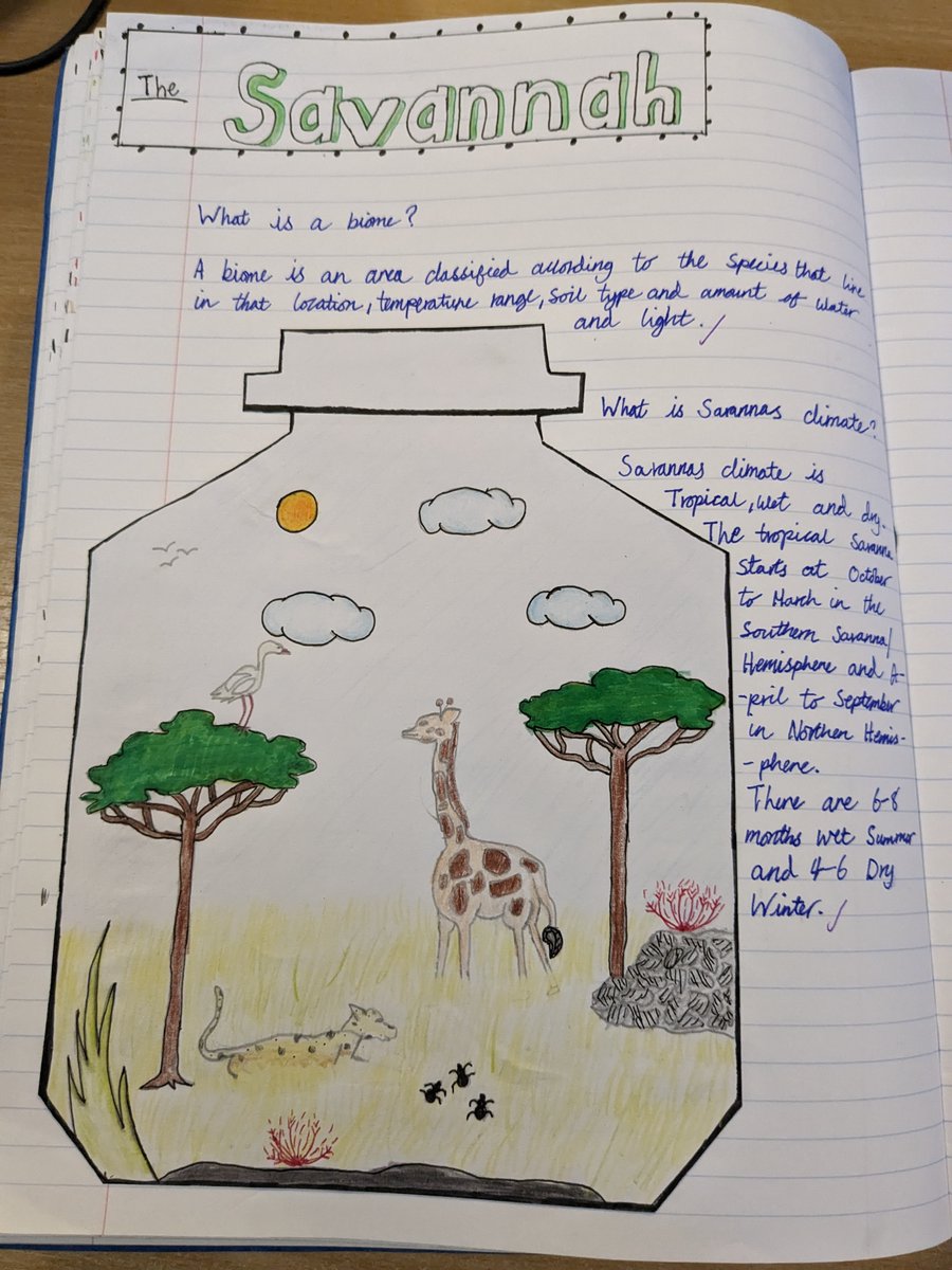 The Junior School | St John's College, Cardiff tweet media