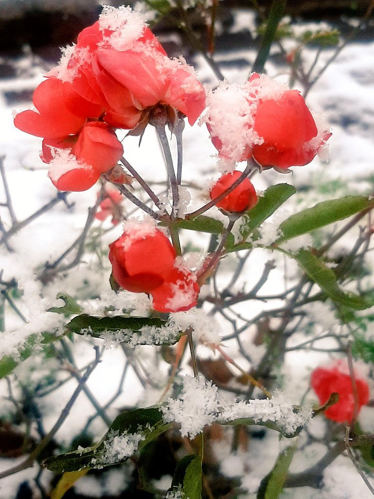 ,,La forza ti viene
perché a volte non hai 
altra scelta.
Perché se non lo fai tu,
non lo farebbe
nessuno per te. 
Perché è una sfida
per dimostrare a te stessa 
che non ti arrendi
e che ce la farai.,,