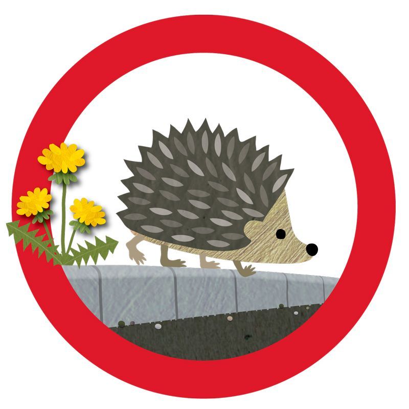 Did you know...? #Hedgehogs are on the Red List for British Mammals - classified as Vulnerable to extinction. 🦔 Find out what you can do to help our prickly pals 👇 buff.ly/3QwOT24 #FridayFact #ShareToMakeAware