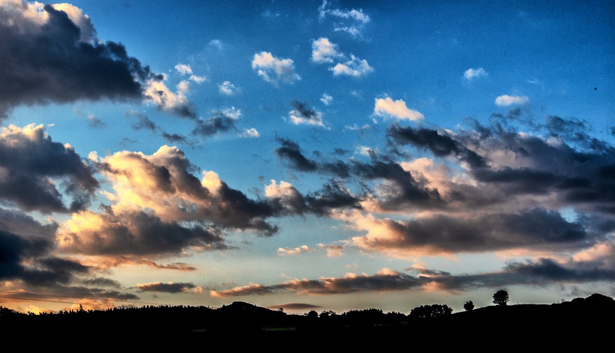Martin Davis (@martin_davis7) on Twitter photo Inspicere #365in2023 #365in2023dailyprompt
@365_in_2023 <a href="/oldgreyheron/">Mike Eccles</a>
08.12.2023
Start of the day! Inspicere #365in2023 #365in2023dailyprompt
@365_in_2023 <a href="/oldgreyheron/">Mike Eccles</a>
08.12.2023
Start of the day!