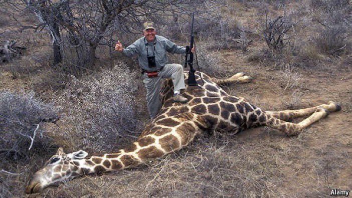 'Well done. You managed to shoot a stationery, 14 foot peaceful creature with a high velocity rifle. Very sporting!' ~ @RickyGervais. RT if you want a WORLDWIDE ban on #trophyhunting.