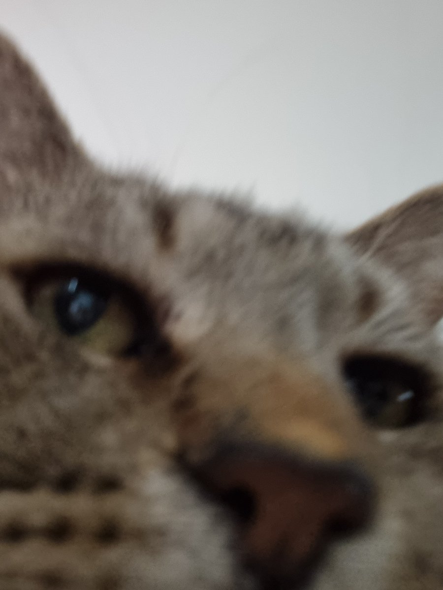 Katt ⚡ Strike tweet media