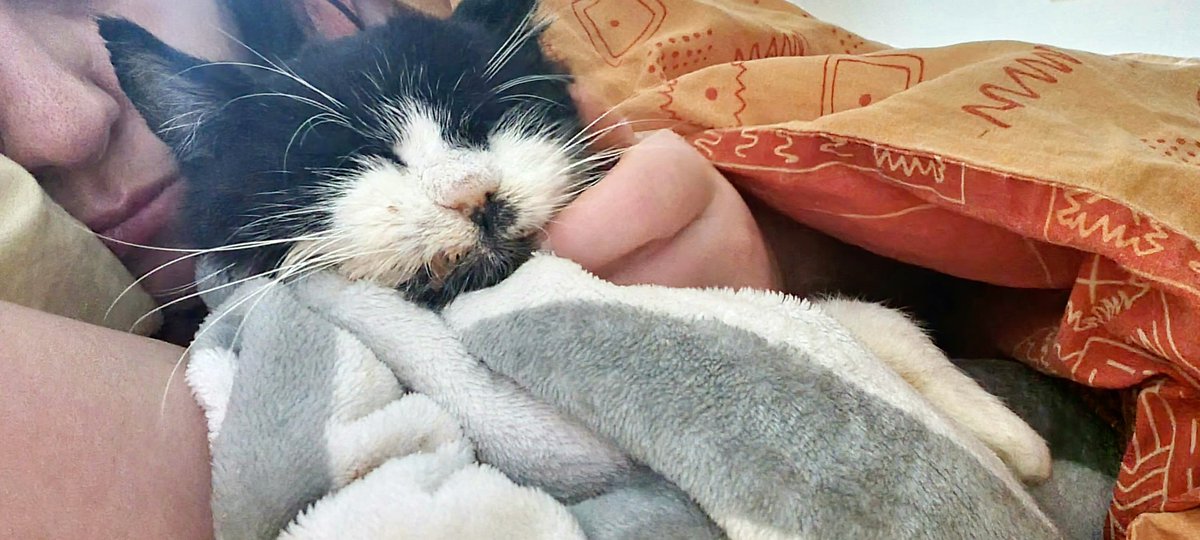 👑 🎀 Atem lo Ier - Tarzon 🧛‍♂️ & Pégasou dé Z'🌟 tweet media