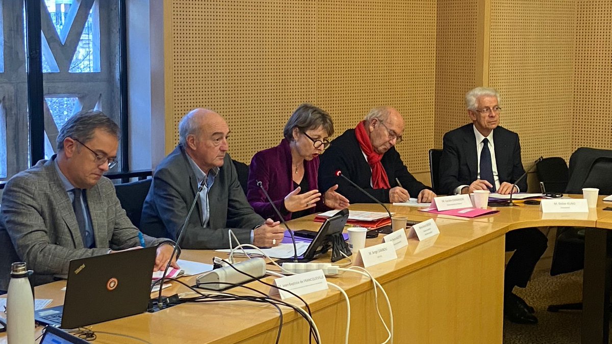 🗣 La commission Affaires européennes & internationales du #CESE a auditionné @AnneSanderElue, députée européenne, dans le cadre du projet d'avis consacré à l’avenir du Pacte vert européen rapporté par Lucien Chabason & @didier_kling 👇 lecese.fr/actualites/que…