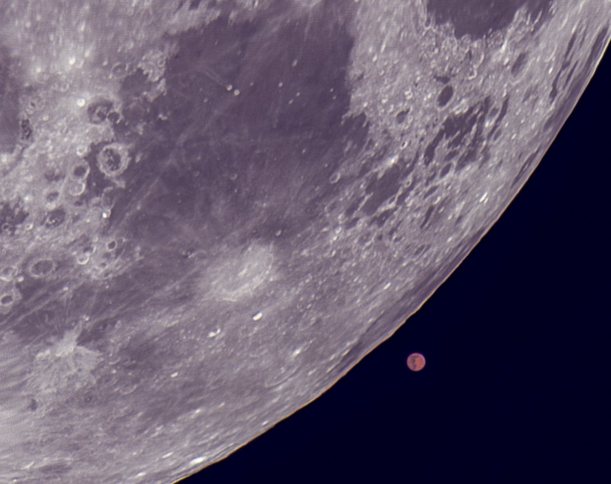 jonesy1007's tweet photo. 12 months ago today, I was fortunate to capture this lunar occulation of Mars on the exit.
#MoonHour @MoonHourSocial #mars #occulation @BBCStargazing https://t.co/X55pEUmkwC